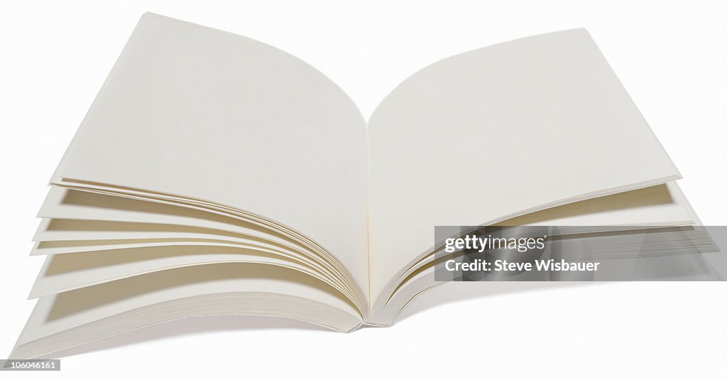 A blank open book