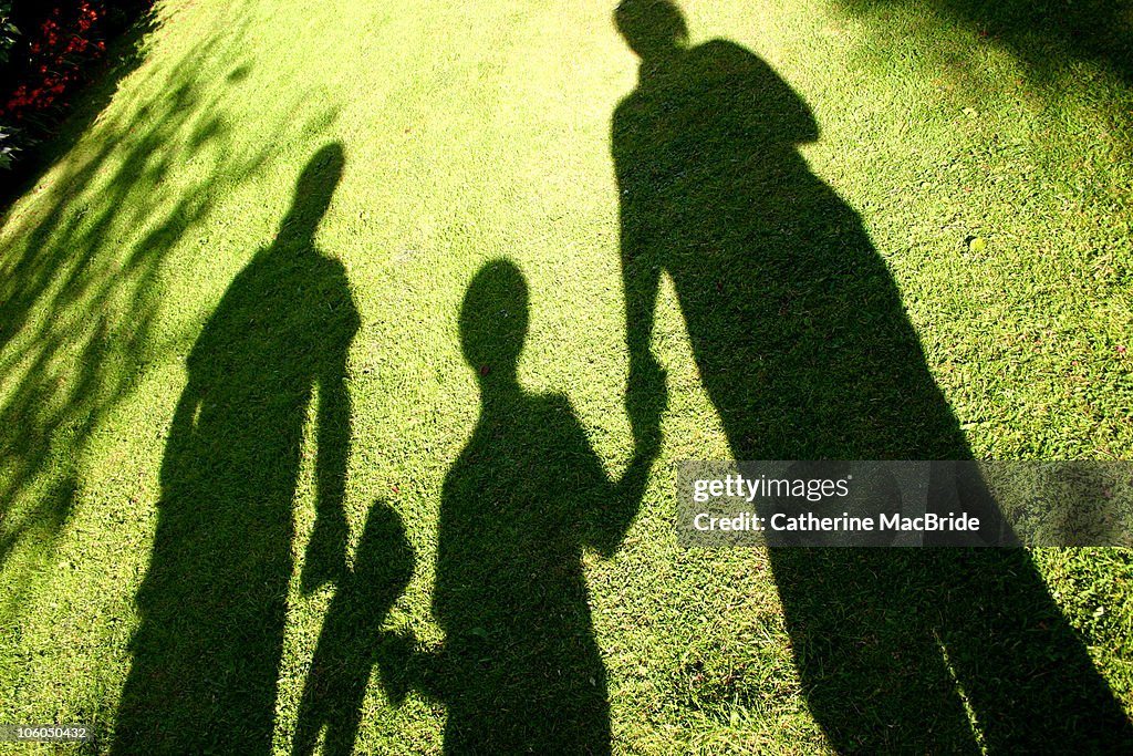 Shadow Family