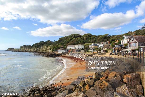 steephill cove - isle of wight stock pictures, royalty-free photos & images