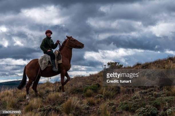 argentinian cowboy gaucho in patagonia - gaucho argentina stock pictures, royalty-free photos & images