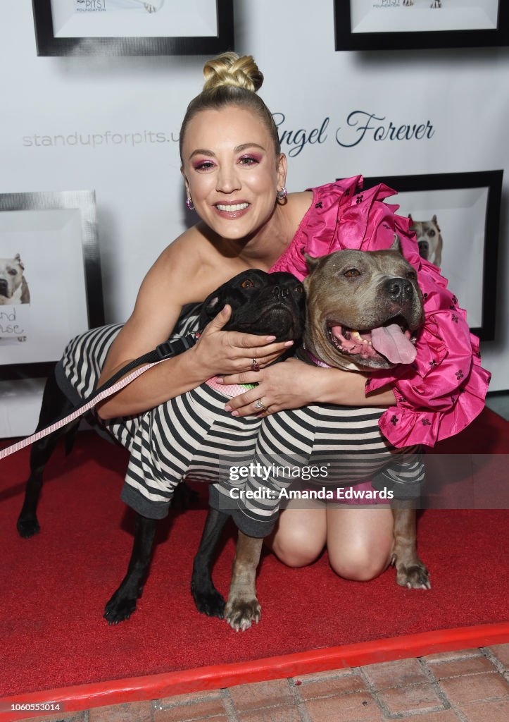 8th Annual Stand Up For Pits - Arrivals