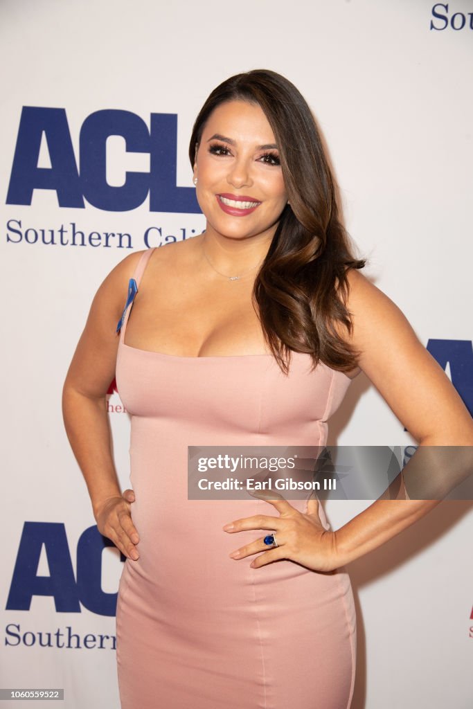 ACLU's Annual Bill Of Rights Dinner - Arrivals