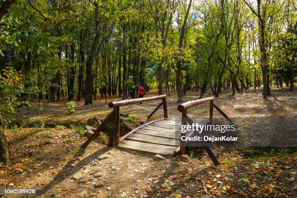 travel, sremski karlovci, serbia - "dvorska basta" - royal garden, national park - novi sad stock pictures, royalty-free photos & images