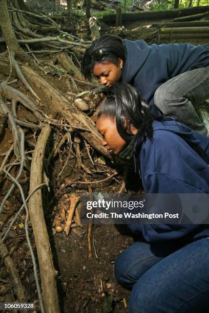 52 Walter Pierce Park Stock Photos, High-Res Pictures, and Images ...