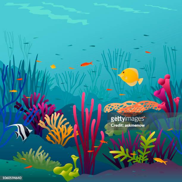 illustrazioni stock, clip art, cartoni animati e icone di tendenza di pesci corallo - marine aquarium