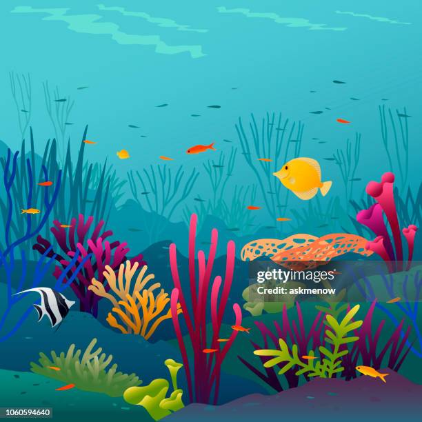 bildbanksillustrationer, clip art samt tecknat material och ikoner med korall fisk - korallrev