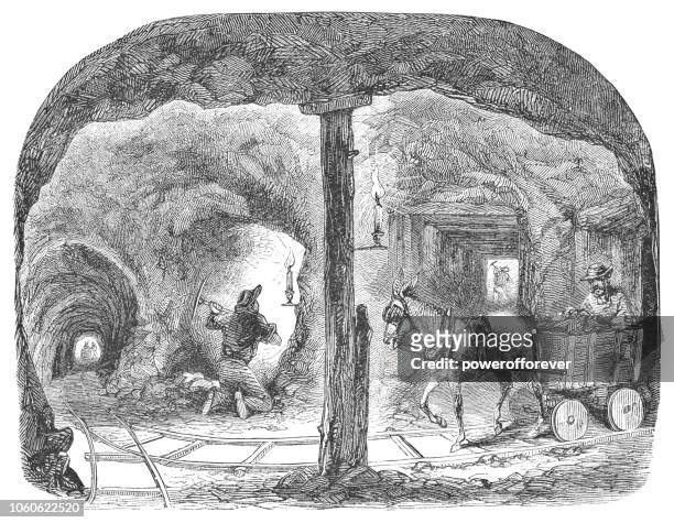 gold mine at table mountain in butte county, california, usa (19th century) - south african people stock illustrations