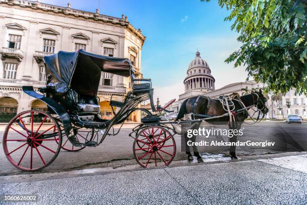 horse car near the el capitolio in havana, cuba - havana cuba revolution museum stock pictures, royalty-free photos & images