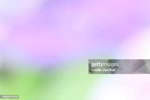 defocused image of  lavender colored flowers and green leaves creating a soft abstract design - girly wallpapers stockfoto's en -beelden