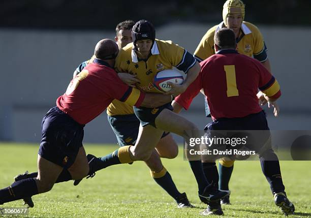 Steve Rac Rugby 65 Steve Larkham Stock Photos, High-Res Pictures, and Images - Getty Images