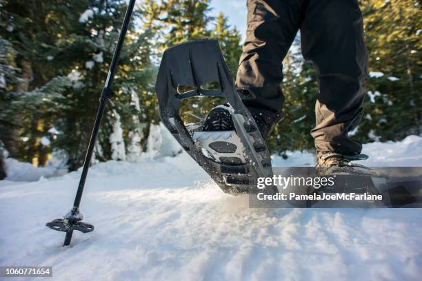 closeup de excursionista con raquetas de nieve en el camino a través del bosque de invierno, canadá - snowshoeing fotografías e imágenes de stock