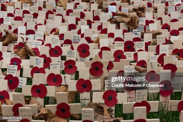 remembrance day, poppy and cross memorials for service personnel lost in wars - remembrance day poppy stock pictures, royalty-free photos & images