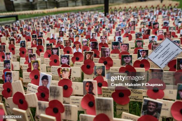 remembrance day, poppy and cross memorials for service personnel lost in wars - armistice day fotografías e imágenes de stock