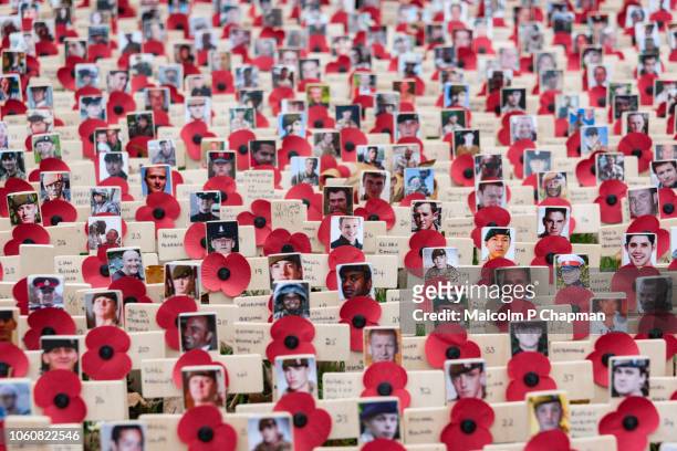 remembrance day, poppy and cross memorials for service personnel lost in wars - armistice day fotografías e imágenes de stock