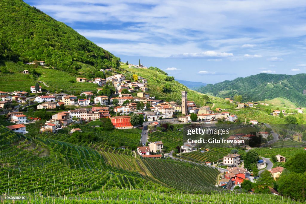 Panorama de Prosecco viñedos de tierra de Santo Stefano-Valdobbiadene (TV) en la primavera