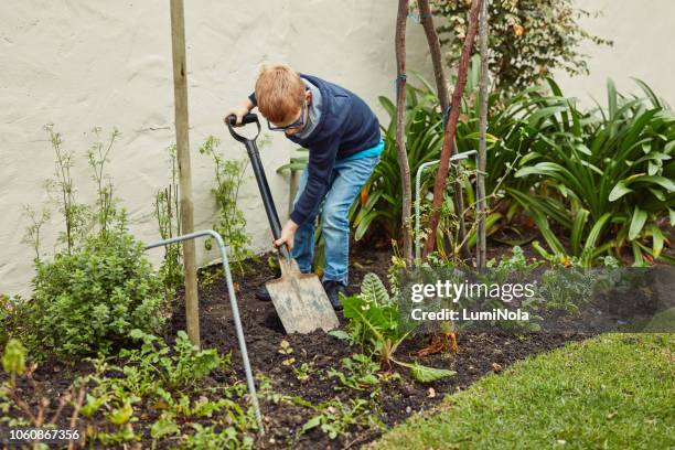 2,446 4 Of Spades Stock Photos, High-Res Pictures, and Images - Getty ...