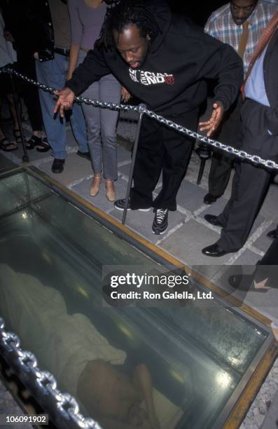 24 David Blaine Buried Alive Stock Photos, High-Res Pictures, and