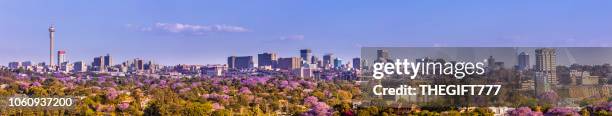 johannesburg stadsgezicht panorama gezien vanuit het westen - johannesburg stockfoto's en -beelden