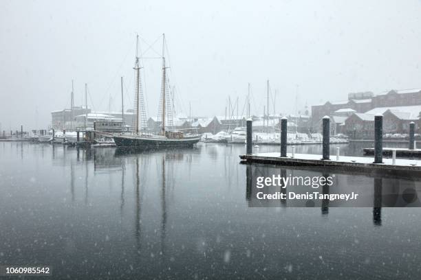 winter in newport, rhode island - newport rhode island stock-fotos und bilder