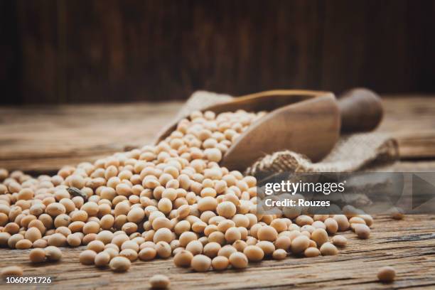 soja-bohnen - soybean stock-fotos und bilder