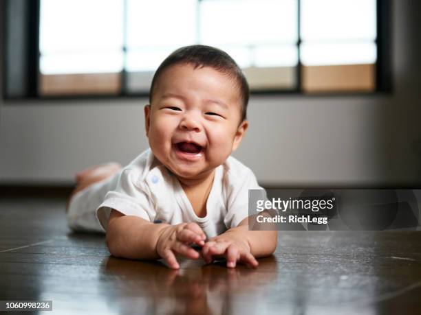 japanese baby six months old - baby stock pictures, royalty-free photos & images