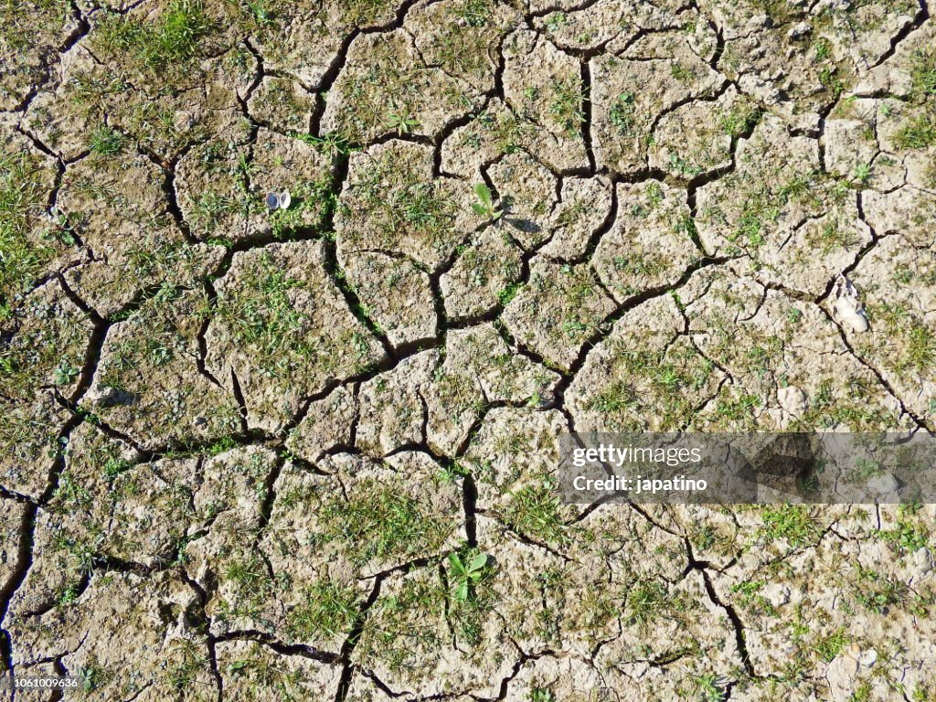 Drought