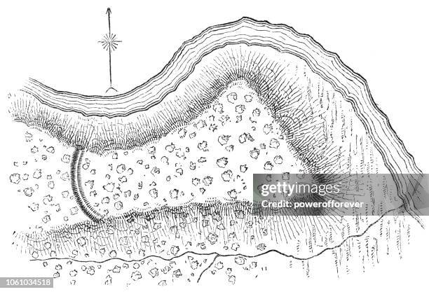 illustrations, cliparts, dessins animés et icônes de squier carte de indian hill fort près de minden dans montgomery county, new york, etats-unis - archéologie