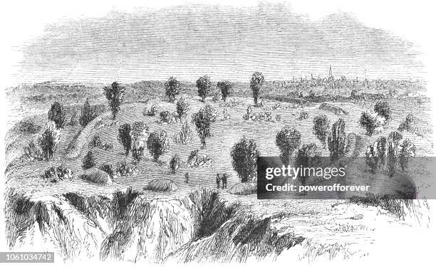 cayugan fort near auburn in cayuga county, new york, usa - auburn new york state stock illustrations