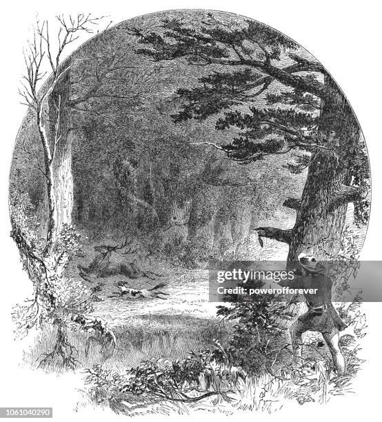 hunting on roanoke island, north carolina, usa (19th century) - outer banks dog stock illustrations