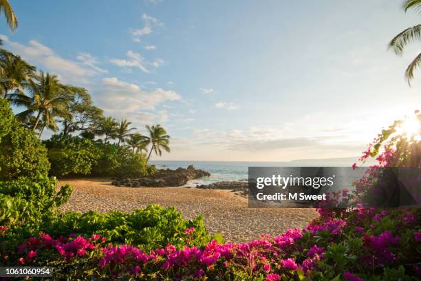 secret beach hawaii - makena beach stock pictures, royalty-free photos & images