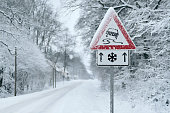 Winter Driving - Heavy snowfall on a country road. Driving on it becomes dangerous …