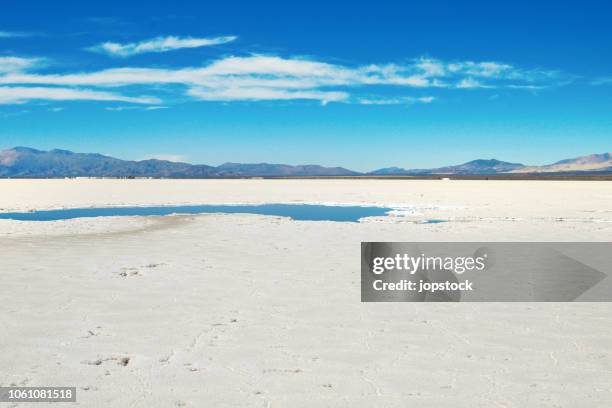 the salinas grandes, a desert salt lake in northern argentina - salinas grandes stockfoto's en -beelden