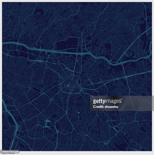 ilustraciones, imágenes clip art, dibujos animados e iconos de stock de mapa de arte de la estructura azul de la ciudad de sao paulo, brasil - topografía