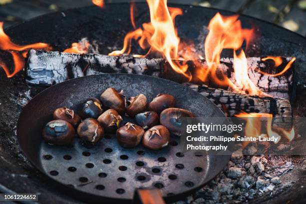 brasero - châtaigne photos et images de collection