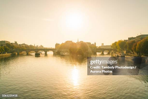 pont neuf or new bridge at sunrise, paris, ile-de-france, france - church color light paris stockfoto's en -beelden