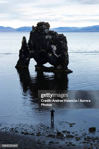 hiker looking at coastal rock formation, hvitserkur, iceland - gestapelde stenen stockfoto's en -beelden