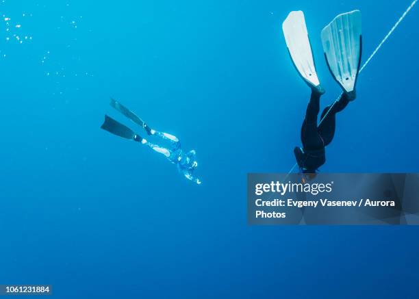 two freedivers underwater, nusapenida, bali, indonesia - free diving stock pictures, royalty-free photos & images