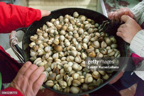 The Cofradia de Pescadores de Noia is the largest producer of cockles in Spain.The cockle is buried in the sand and through a special rake is...