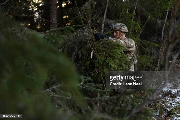 Members of the British Army Royal Irish B Company gather fir tree branches to line their tents as they set up a temporary camp, on October 29, 2018...