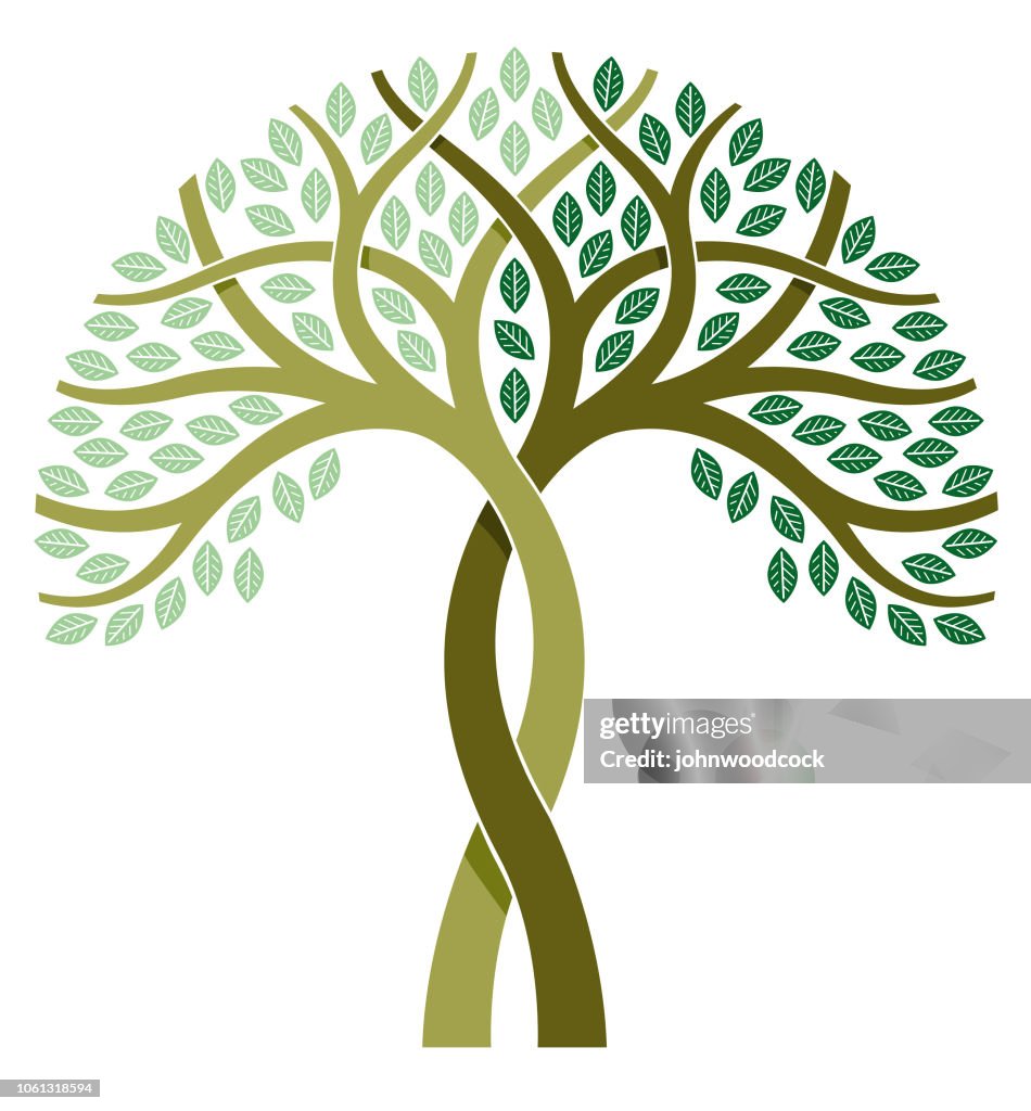 Illustration d’arbre bicolore