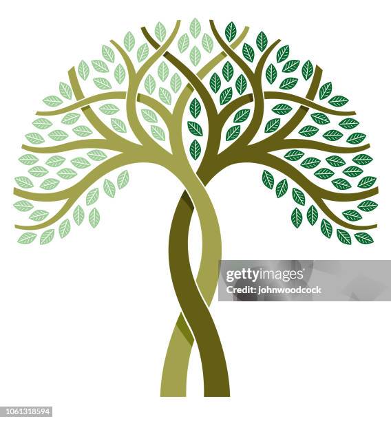 two tone tree illustration - intertwined stock illustrations