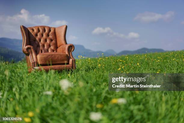 ledersessel / stuhl auf einer wiese in der landschaft stehend - armchair stock pictures, royalty-free photos & images