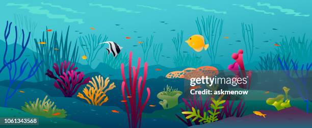 3 640点の熱帯魚イラスト素材 Getty Images 3 640点の熱帯魚イラスト素材 Getty Images