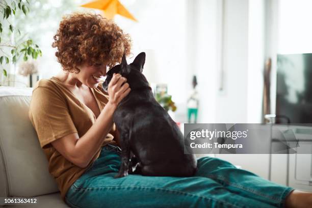 lifestyle woman with a french bulldog relaxing in living room. - pet love stock pictures, royalty-free photos & images