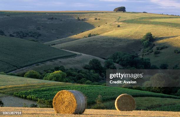 Win Green Hill at harvest time Wiltshire downs Tollard Royal Wiltshire England.