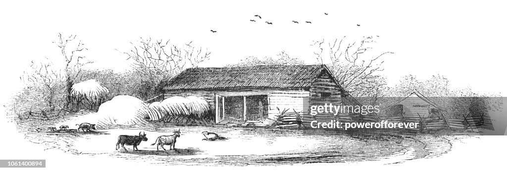 Barn on a Farmstead in Rural Illinois, USA (19th Century)