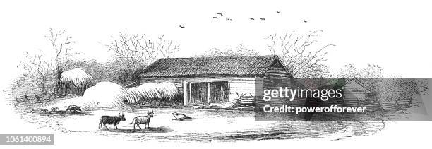 barn on a farmstead in rural illinois, usa (19th century) - illinois countryside stock illustrations