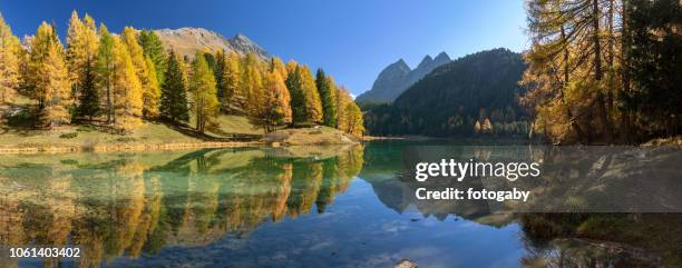 lake palpuogna mountain lake at albula pass (graubünden, switzerland) - 4 shots stitched - engadin stock pictures, royalty-free photos & images