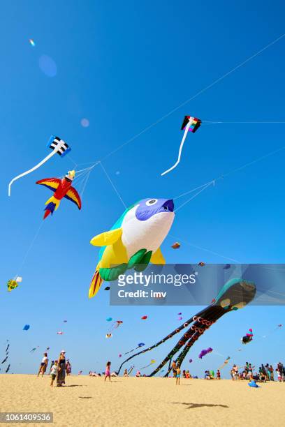 drachen fliegen auf dem international kite festival in fuerteventura - corralejo stock-fotos und bilder