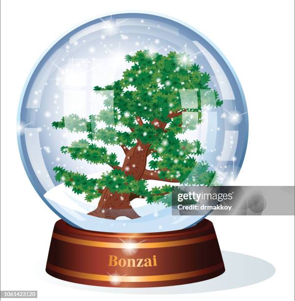 illustrazioni stock, clip art, cartoni animati e icone di tendenza di bonzai neve - snow ball glass